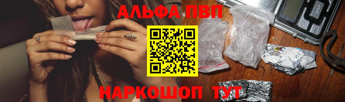 A PVP СК КРИС Светлоград